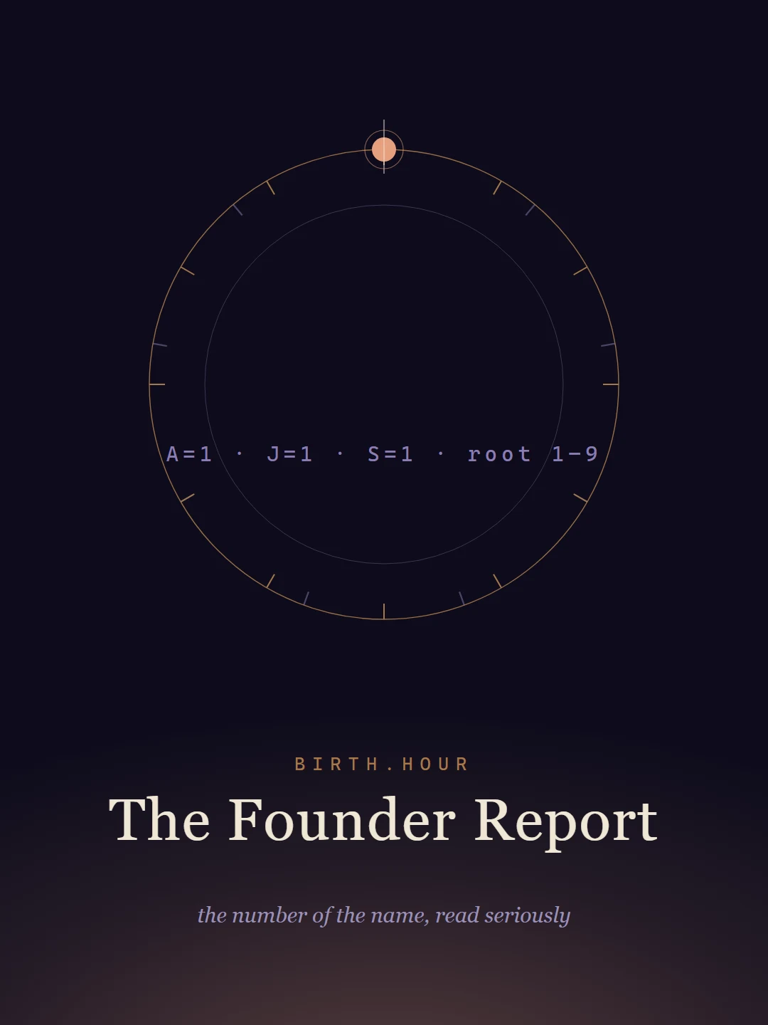 The Founder Report